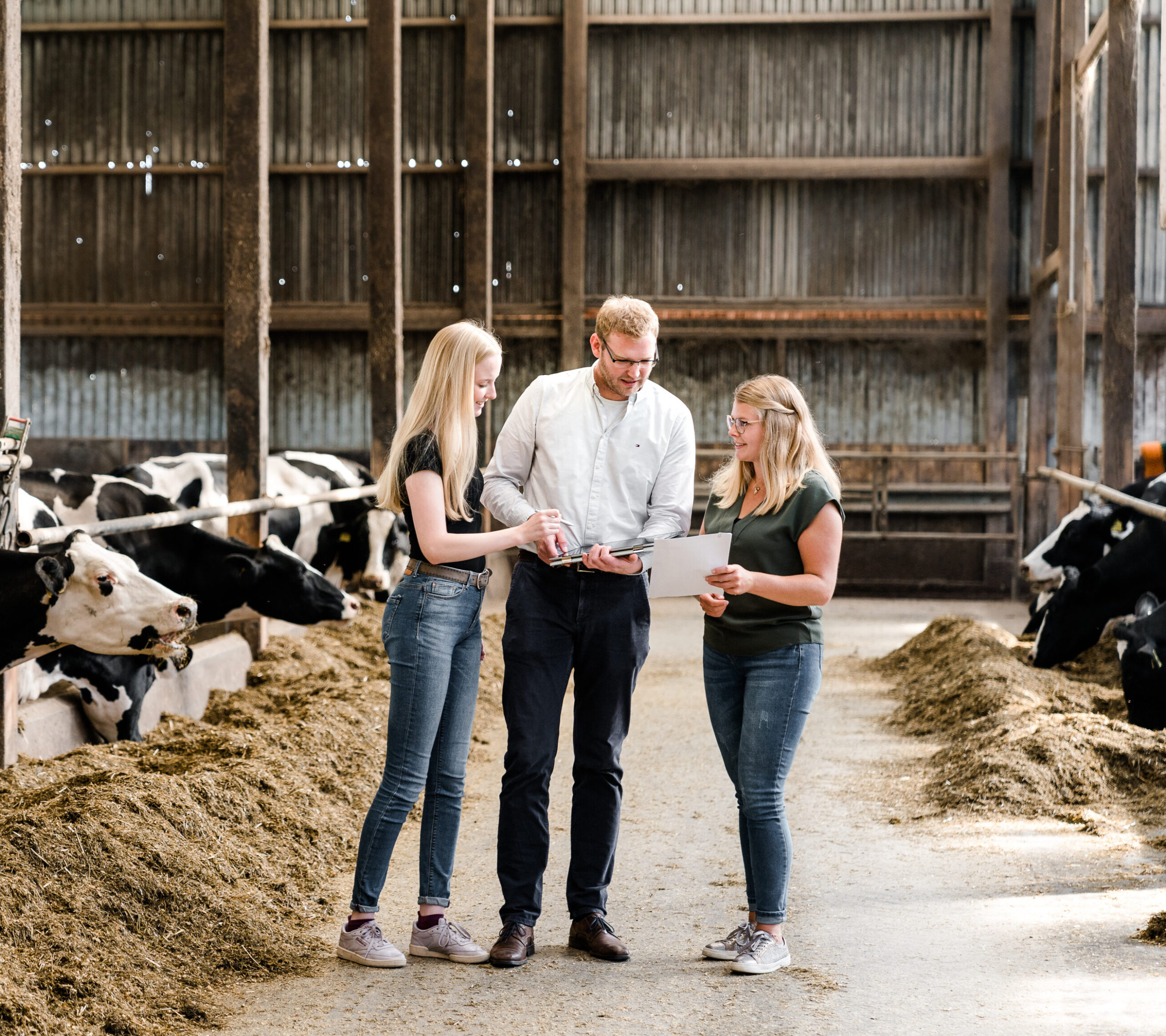 Markus steht mit 2 Mitarbeiterinnen im Kuhstall